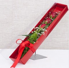 Kutu içerisinde 3 adet kırmızı gül  Ankara Çankaya çiçek gönderme 