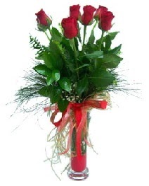 vazo içerisinde 5 kırmızı gül  Çankaya çiçekçi çiçek siparişi vermek 