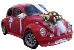 Sade gelin arabası süslemesi  Ankara Çankaya çiçekçiler 