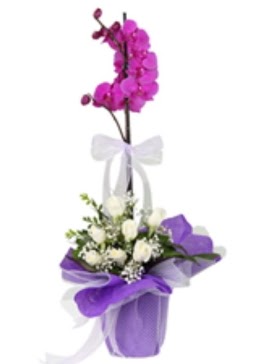 1 dal mor orkide ve 11 adet beyaz gül  Ankara çiçek gönderme Çankaya ucuz çiçek gönder 