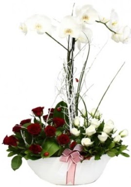 Tek dal beyaz orkide 8 beyaz 8 kırmızı gül  Çankaya çiçek servisi , çiçekçi adresleri 