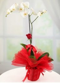 Tek dal beyaz orkide tek dal kırmızı gül  Çankaya çiçek yolla , çiçek gönder , çiçekçi  