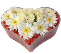 Kalp içerisinde 7 beyaz gül ve papatyalar  Çankaya çiçek yolla , çiçek gönder , çiçekçi  