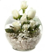 11 adet beyaz gül cam fanus çiçeği  Ankara Çankaya çiçekçiler 