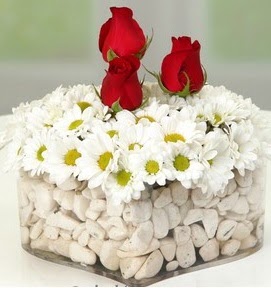 Mika kalpte papatyalar ve 3 gül  Ankara Çankaya çiçek online çiçek siparişi 