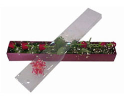  Ankara Çankaya hediye çiçek yolla   6 adet kirmizi gül kutu içinde