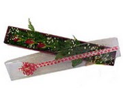  Ankara Çankaya güvenli kaliteli hızlı çiçek  3 adet gül.kutu yaldizlidir.