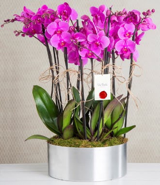 11 dallı mor orkide metal vazoda  Çankaya çiçekçiler 14 şubat sevgililer günü çiçek 