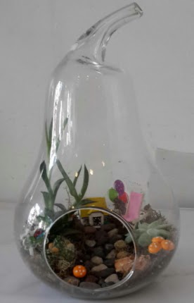 Orta boy cam armut terrarium  Çankaya çiçek servisi , çiçekçi adresleri 