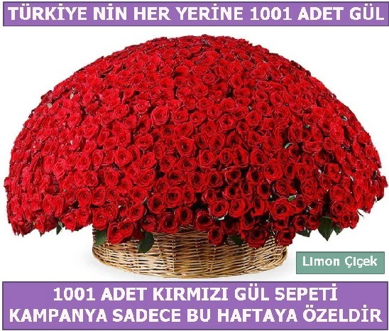 1001 Adet kırmızı gül Bu haftaya özel  Ankara Çankaya uluslararası çiçek gönderme 