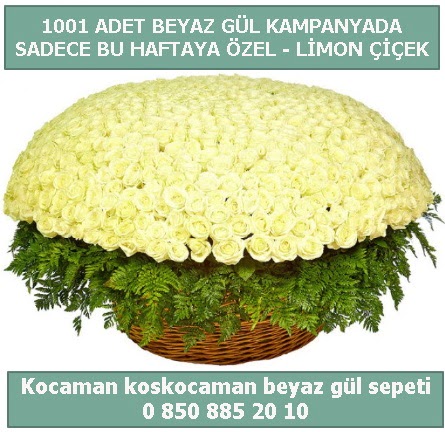 1001 adet beyaz gül sepeti özel kampanyada  Çankaya çiçekçiler 14 şubat sevgililer günü çiçek 