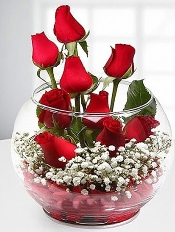 Kırmızı Mutluluk fanusta 9 kırmızı gül  Ankara Çankaya online çiçekçi , çiçek siparişi 