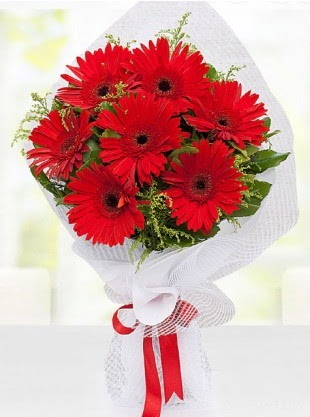 Kırmızı Gelbera Buketi  Ankara Çankaya çiçek gönderme sitemiz güvenlidir 
