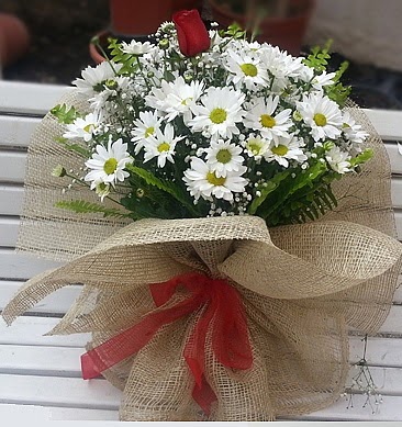Papatya 1 adet kırmızı gül buketi  Ankara Çankaya İnternetten çiçek siparişi 