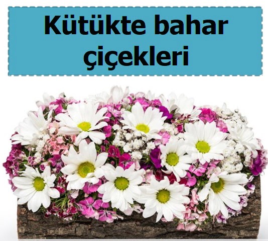 Kütük içerisinde kır çiçekleri  Ankara Çankaya çiçek mağazası , çiçekçi adresleri 