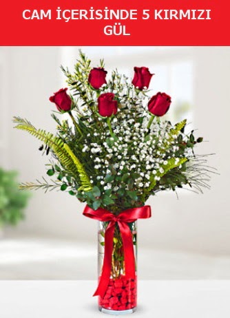 Cam içerisinde 5 adet kırmızı gül  Ankara Çankaya online çiçekçi , çiçek siparişi 