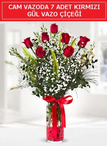 Cam vazoda 7 adet kırmızı gül çiçeği  Çankaya çiçekçiler 14 şubat sevgililer günü çiçek 