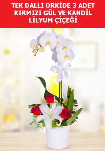 Tek dallı orkide 3 gül ve kandil lilyum  Ankara Çankaya anneler günü çiçek yolla 