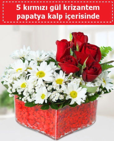 mika kalp içerisinde 5 kırmızı gül papatya  Çankaya hediye sevgilime hediye çiçek 