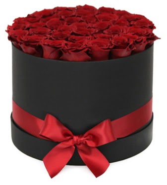 Siyah Kutuda 25 adet kırmızı gül  Çankaya çiçekçiler 14 şubat sevgililer günü çiçek 