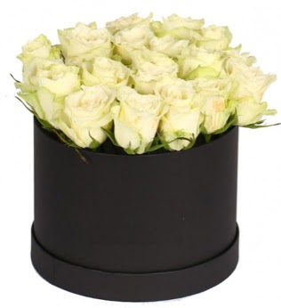 19 adet beyaz gülden görsel kutu çiçeği  Ankara Çankaya online çiçekçi , çiçek siparişi 