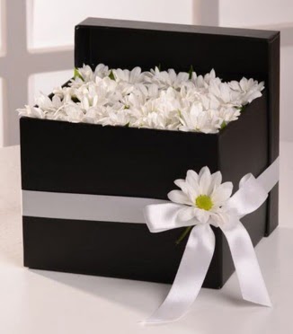 Kutuda beyaz krizantem papatya çiçekleri  Ankara Çankaya online çiçekçi , çiçek siparişi  