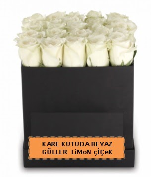 Kare kutuda 17 adet beyaz gül tanzimi  Ankara Çankaya online çiçekçi , çiçek siparişi 
