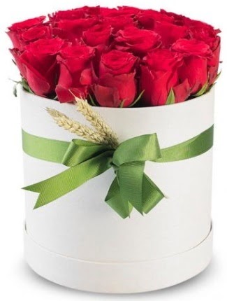 25 adet özel kutuda kırmızı gül  Ankara çiçek siparişi Çankaya çiçek satışı  söz çiçekler