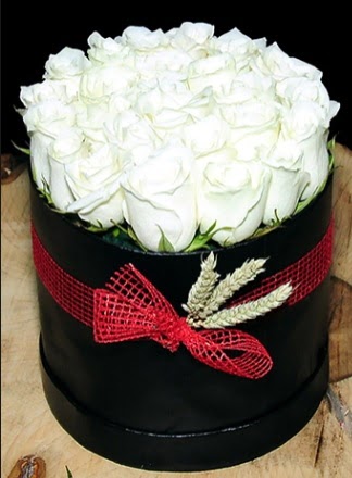 Özel kutuda 27 adet beyaz gül  Ankara çiçek siparişi Çankaya çiçek satışı 