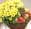  Ankara Çankaya online çiçekçi , çiçek siparişi  Sindirella ve mevsim meyveleri